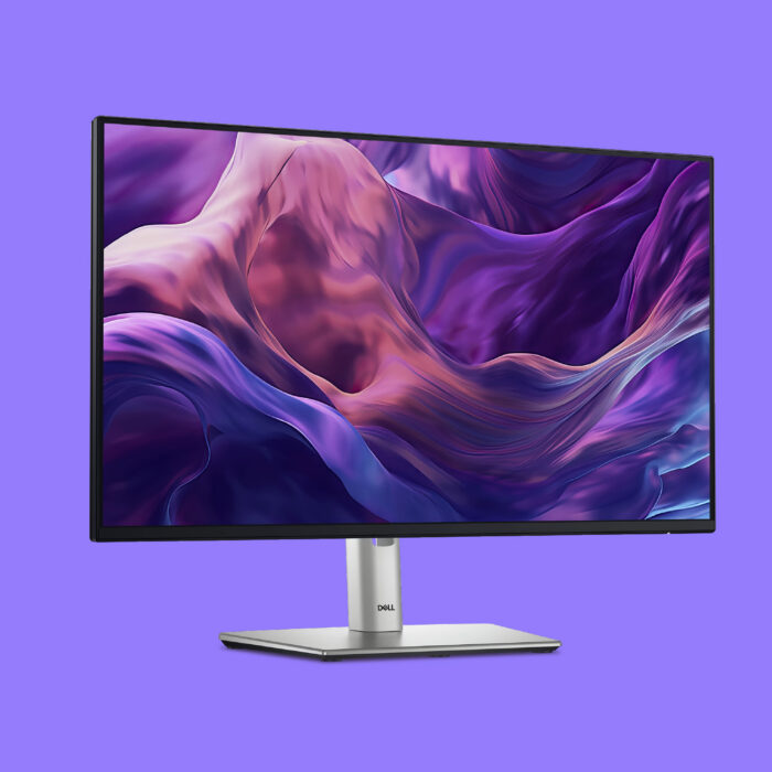 DELL - P2422H - 24' FHD Monitor (1920x1080)